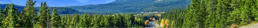 A bespoke Canadian wilderness, with a road heading to the horizon.